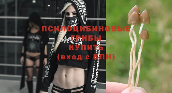 скорость Щигры