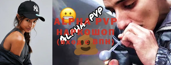 индика Заволжск