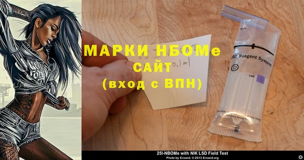 индика Заволжск