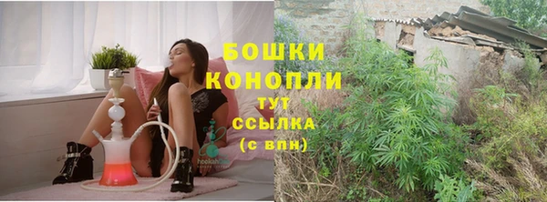 индика Заволжск