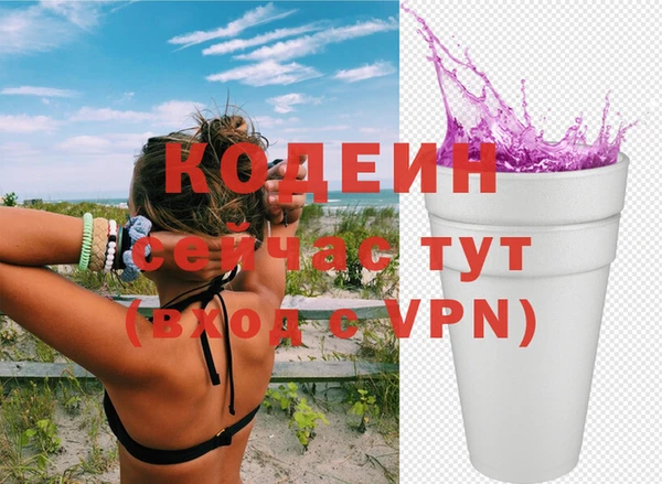 индика Заволжск
