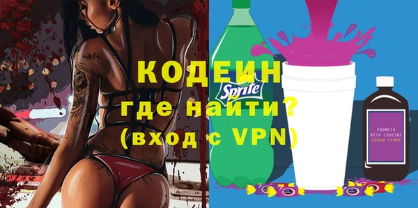 индика Заволжск