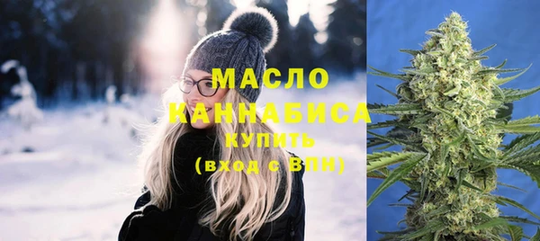 индика Заволжск