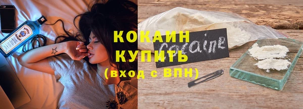 индика Заволжск