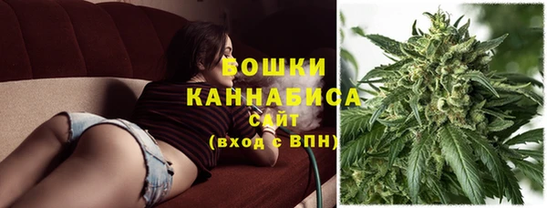 индика Заволжск