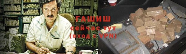 индика Заволжск
