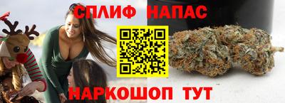 jwh Малоярославец