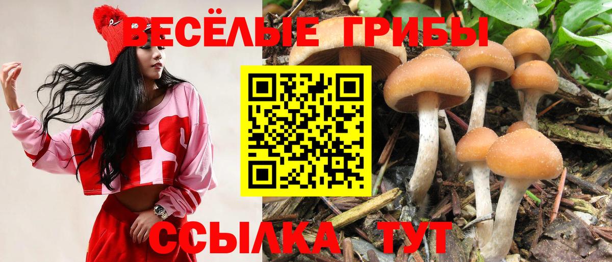 Псилоцибиновые грибы ЛСД  Вход с VPN  Шебекино  Галлюциногенные грибы MAGIC MUSHROOMS 
