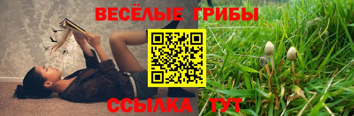 Псилоцибиновые грибы GOLDEN TEACHER Шебекино